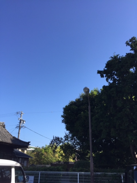 20161027花村.JPG